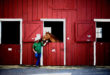 centre equestre mers les bains