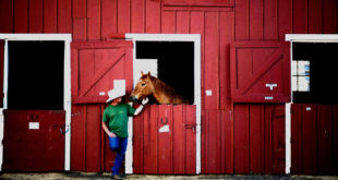 centre equestre mers les bains